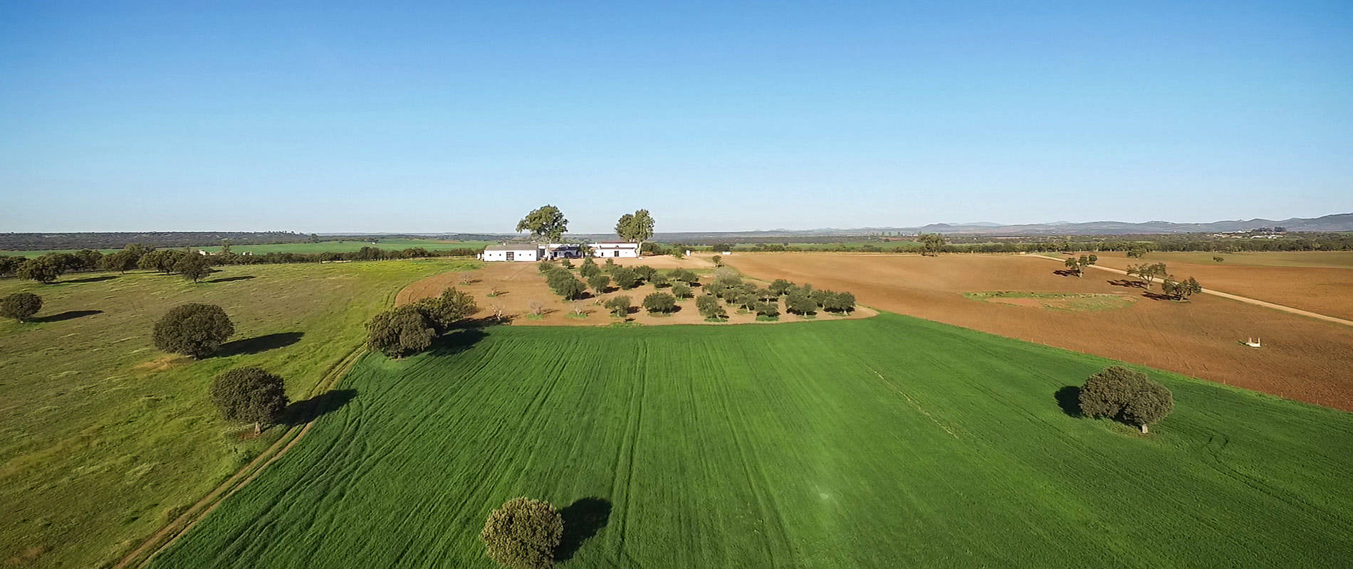 Cortijo Mohacho